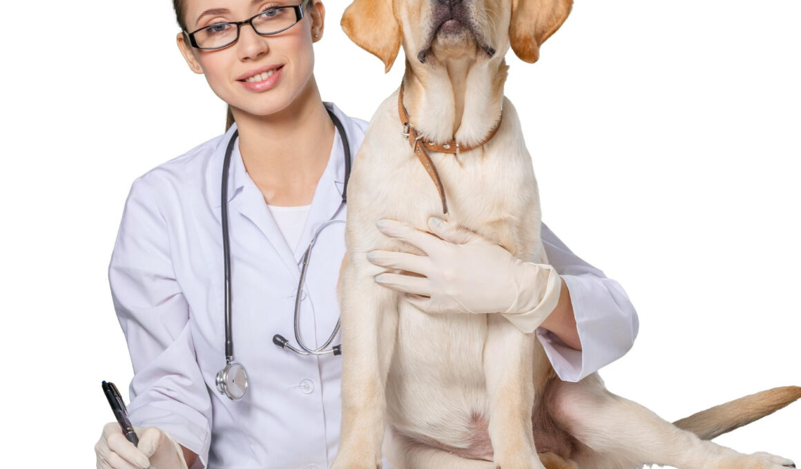 Jak często zabierać psa do weterynarza?
